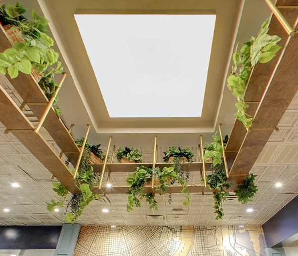 Architectural skylight with human-centric lighting and integrated greenery in a commercial interior