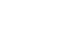 TLS Logo