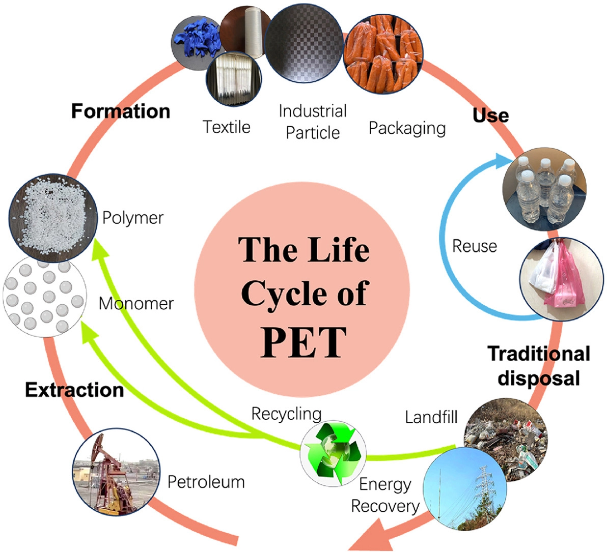 Life Cycle of Polyethylene Terphthalate (PET)