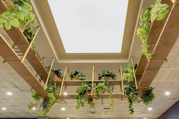 Human-Centric Lighting in Commercial Design: Beyond Illumination