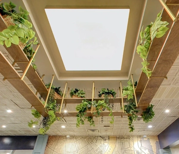 Human-Centric Lighting in Commercial Design: Beyond Illumination