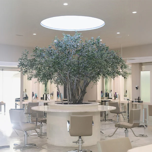 Glow Luxury Salon - Metairie, LA
