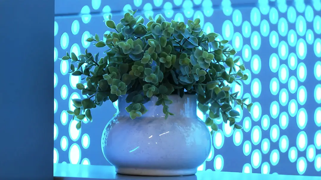 Close-up of a potted green plant on a reception counter in front of a cyan backlit perforated wall panel.