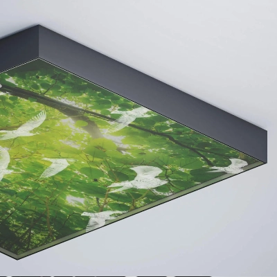 Lumicloud 3D