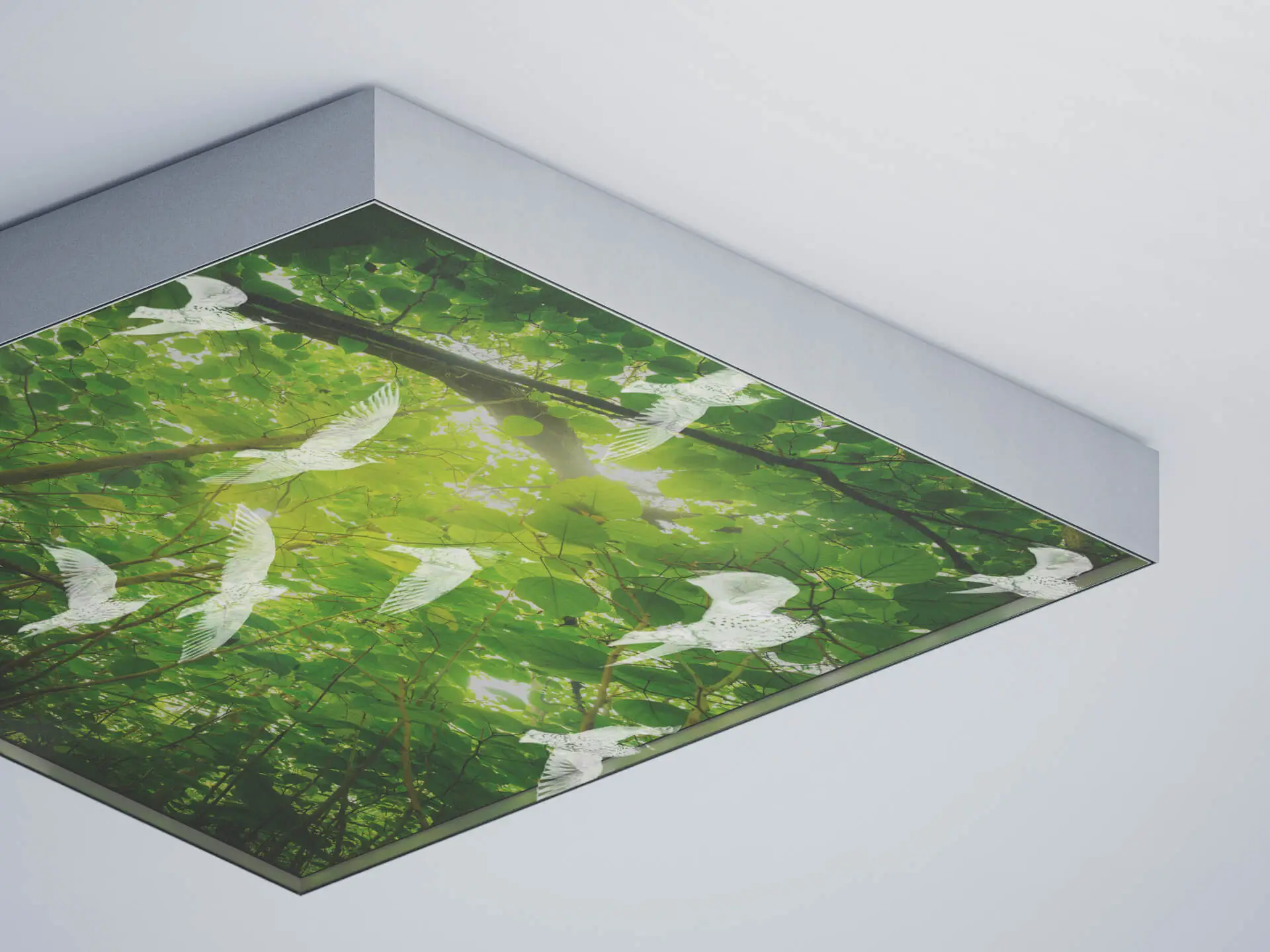 Transform your space